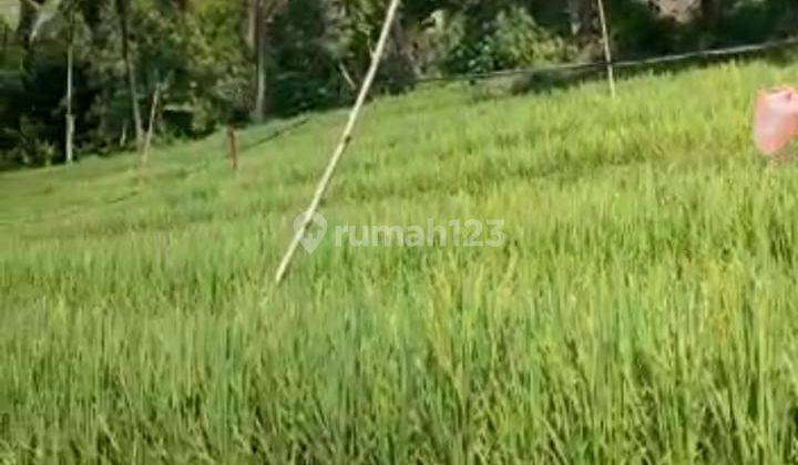 FOR SALE VILLA MURAH  13
