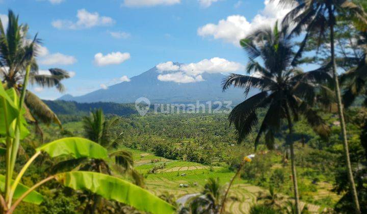 Jual tanah sidemen beautiful  view 1