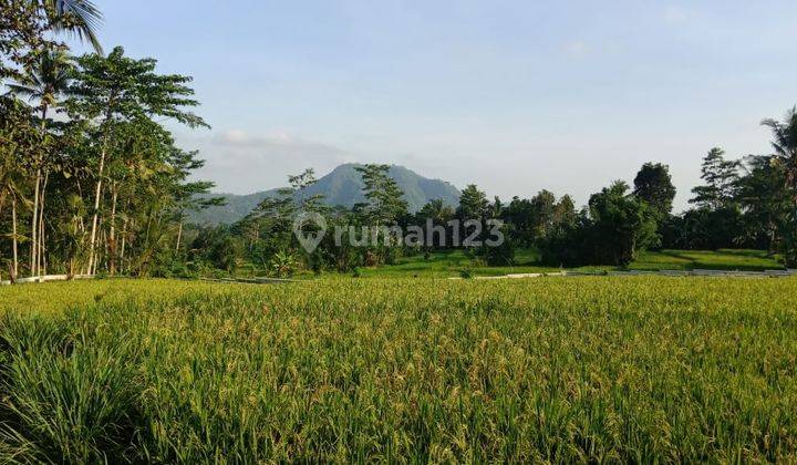 Beautiful  land and tanah rata di sidemen  1