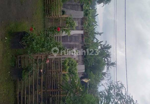JUAL RUMAH STAYLE bali 4