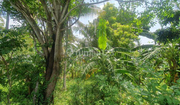 For sale beautiful  view to virgine beach and bukit asah 13