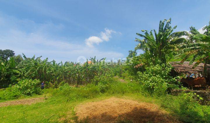 For sale beautiful  view to virgine beach and bukit asah 15