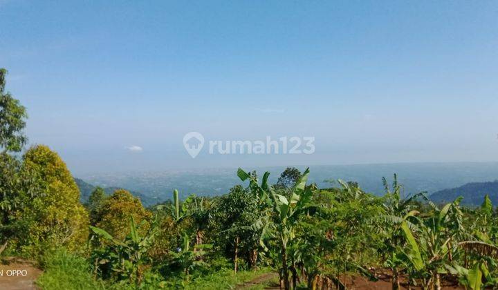 For sale 25 juta nego in munduk with beautiful view 1