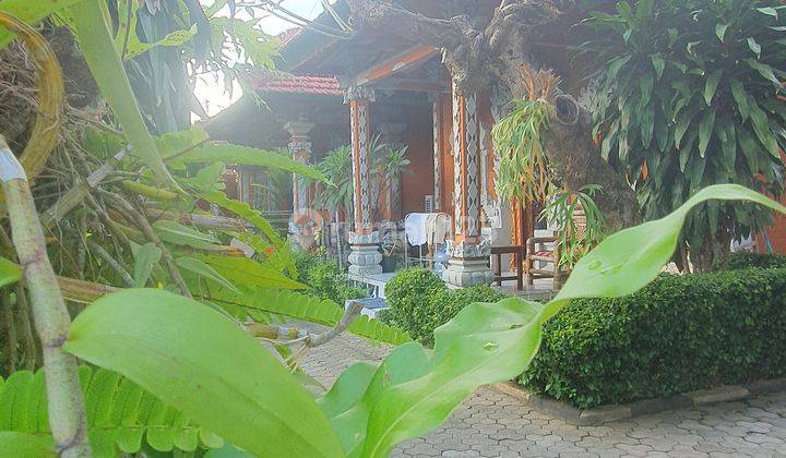 FOR SALE 9 bungalow  in central lovina 100 meter to the beach  15