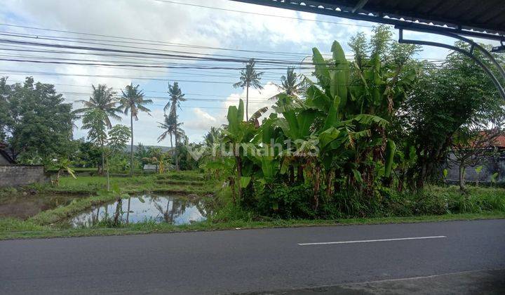 Roadside land for sale in Pesagi Karangasem  2