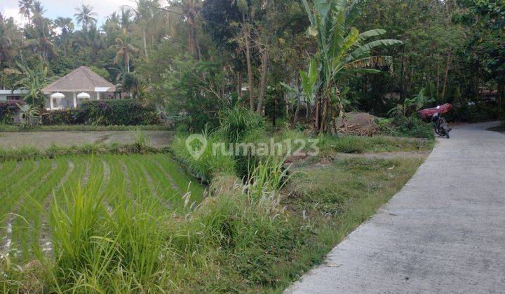 FOR SALE beautiful  land fir making villa 1