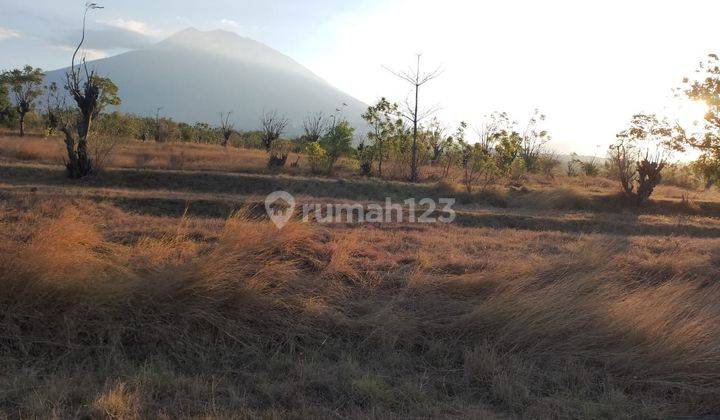 For sale For sale land in tulamben with fantastic  view to the ocean  and mountain 
aroud of the land is villa and hotel
close to bar n restauran 
good for dive center  or homestay 
in good area
view to ocean 
and mountain  agung
akses  road is ready
list 1