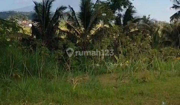 For sale land beautiful  view to Ricefield  and mountain  agung 2