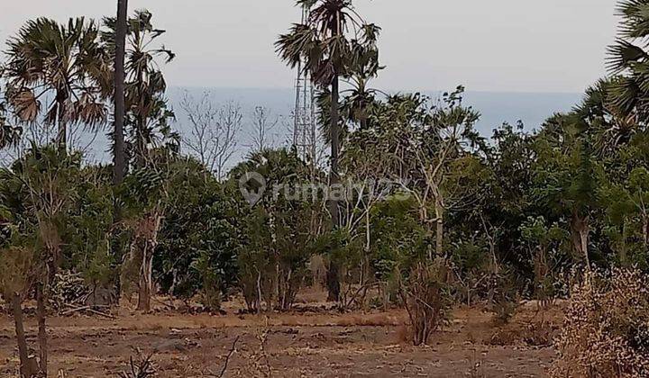 For Sale  Land With Fantastic  View In The Central  Of Diving 2