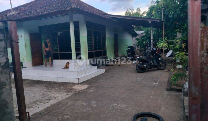 Dijual rumah local dekat ke pusat lovina  1