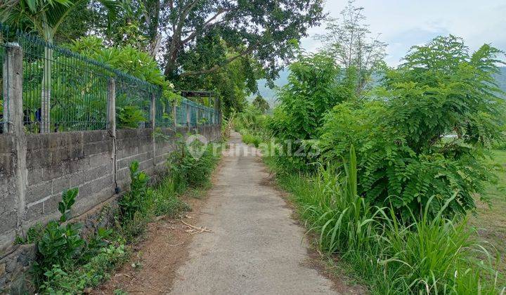 FOR SALE good land for investment  in lovina With good view and acces road 2