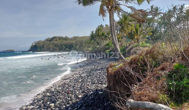 For sale beach front  and close to surfing  central and white sand beach  2