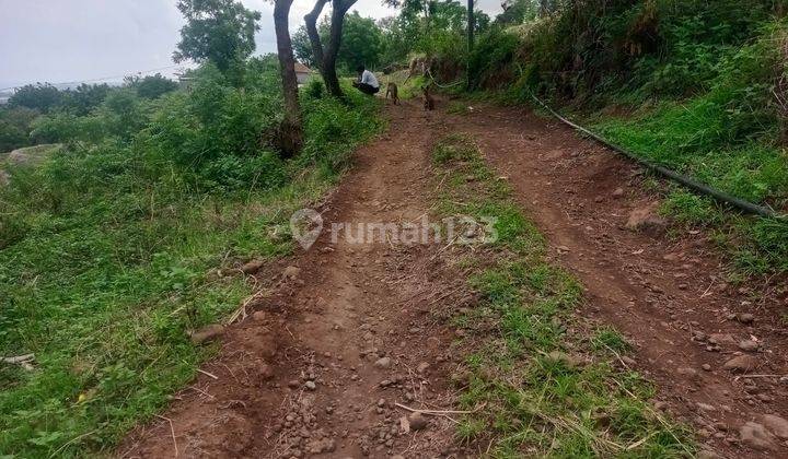 Fir sale land 60 arw view to the sea and mountain 1,5 km to the beach 1