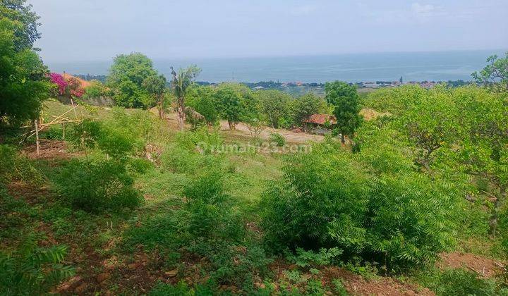 Fir sale land 60 arw view to the sea and mountain 1,5 km to the beach 2