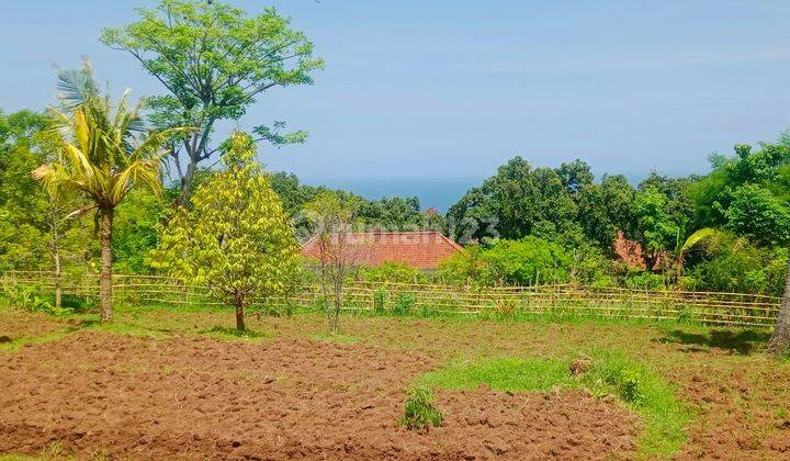 For sale flat land with good view to the sea and good acces road 1