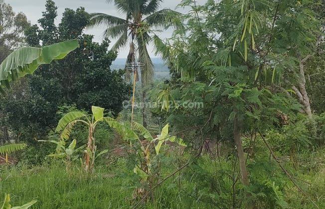 Land for  sale 600 jt global with beautiful view and goid acces 2