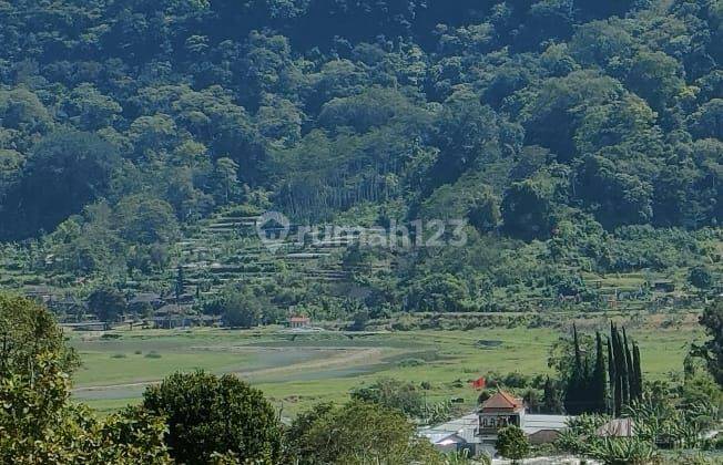 For sale beautiful land view to the rice fields ,lake and mountain  2