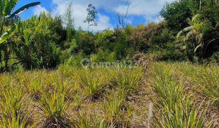 For sale beautiful land view to the rice fields ,lake and mountain  2