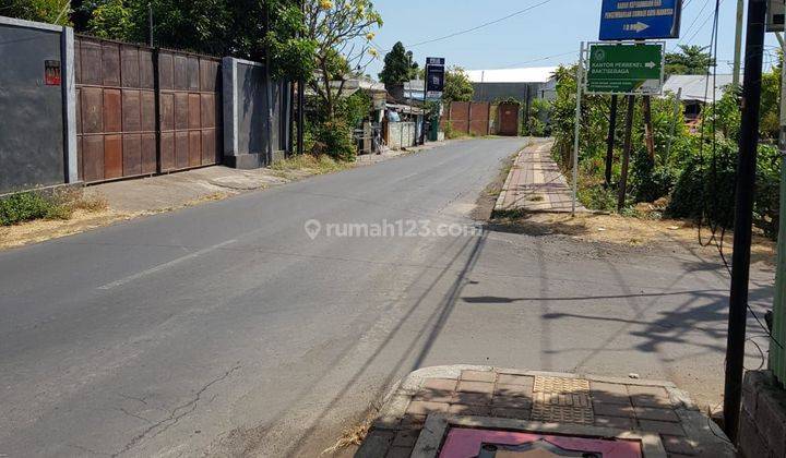 For sale land close to central Lovina good for business  2