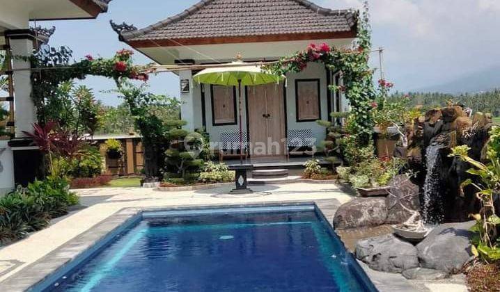 FOR SALE villa 3 br just 500 meter to the beach and Close to central Lovina  2