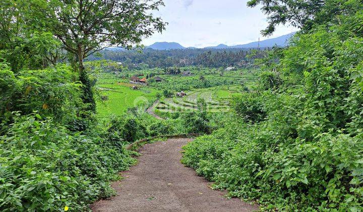 For leasd land 1400 M2 beautiful view in tirtagangga  1