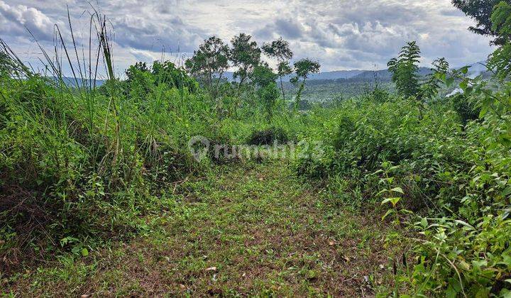 For leasd land 1400 M2 beautiful view in tirtagangga  2