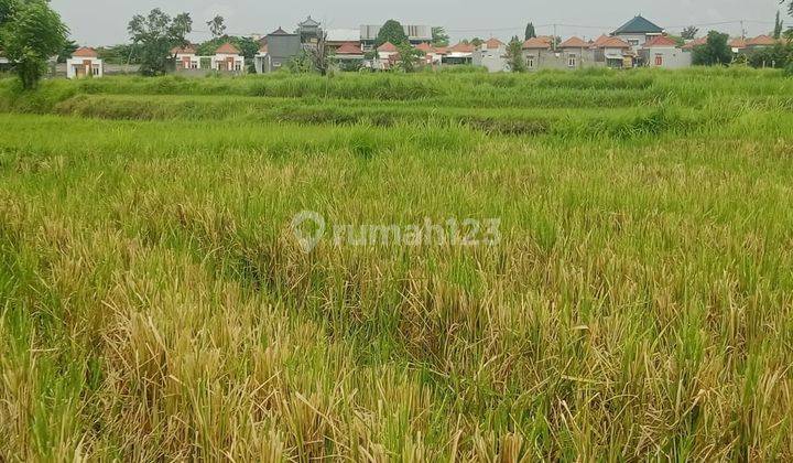 For sale Beach front land in Singaraja close to harbour  2