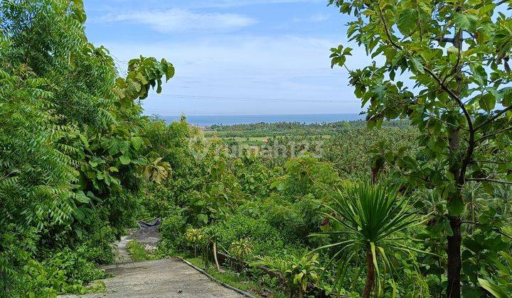 FOR SALE land with fantastic views global just 550 juta 2