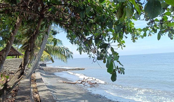 FOR SALE beach front land in Buleleng with big aspal road  2