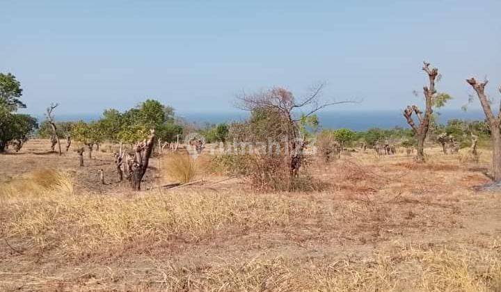 For sale land in Tulamben with good acces and fantastic view 1