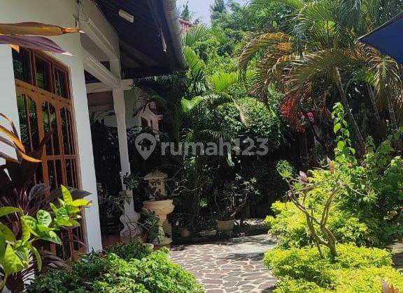 For sale villa 3 br  in central Lovina with traditional style house 2