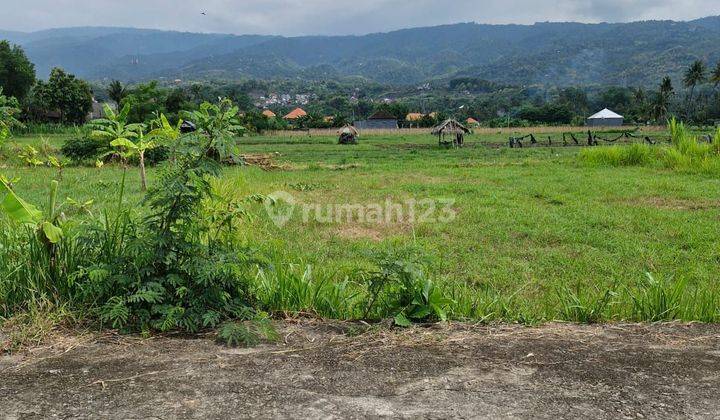 For sale land super premium in central Lovina with good acces road area villa 1