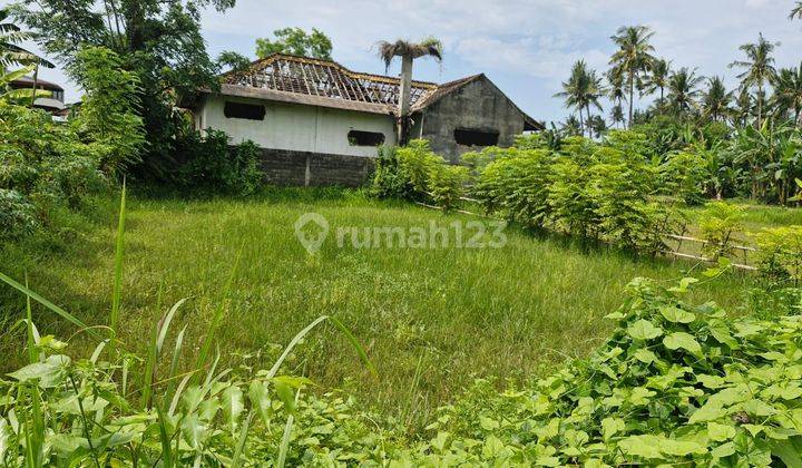 For sale land super premium in central Lovina with good acces road area villa 2