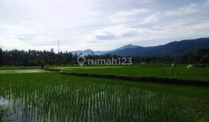 For sale land  with good acces and area villa and hotel in lovina  2