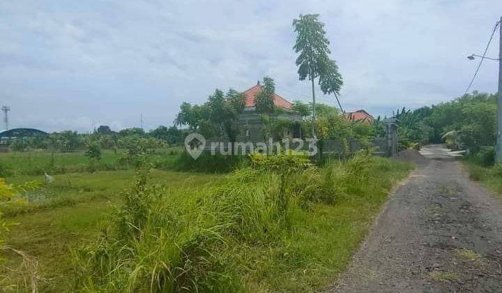 For sale good land for building private villa or investment close to central Lovina  1