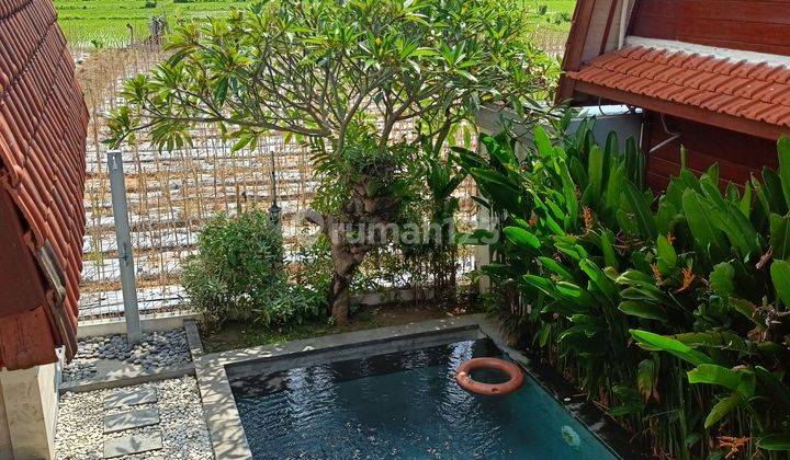 Super cheap villa 2 br with fantastic views to ricefield in central Lovina  1