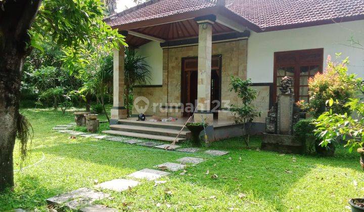 For sale super cheap house and big land 2150m2 in lovina area with good acces  1