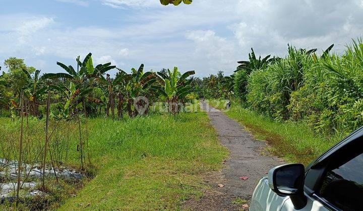 For Sale Land In Lovina 4are Global 480 Juta 1