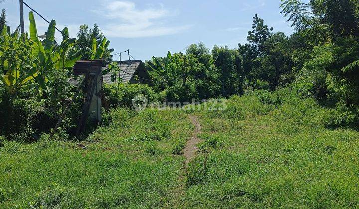 For sale land in pemutaran super cheap just 600 meter to the beach  2