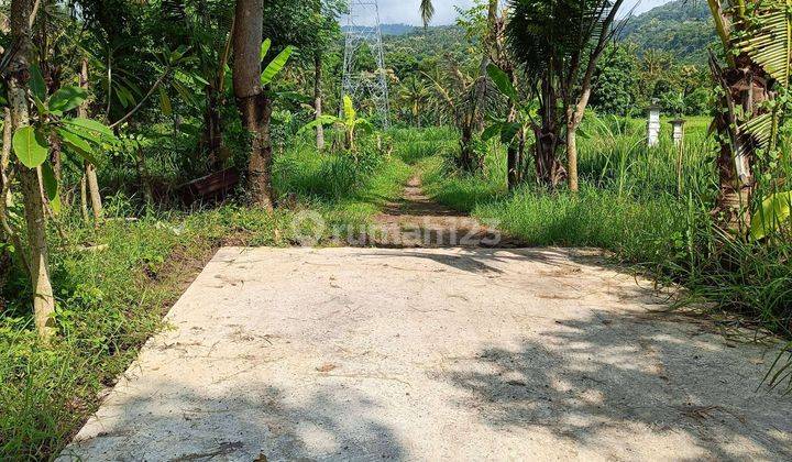 For sale land 5 are view to the ricefield and Good for investment and private villa  1