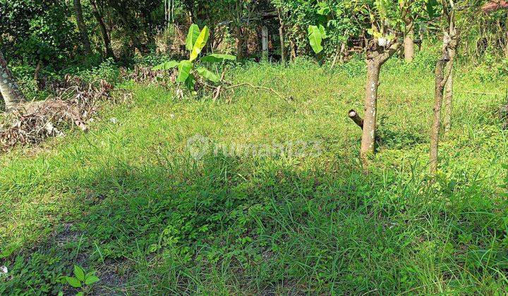 For sale land 5 are view to the ricefield and Good for investment and private villa  2