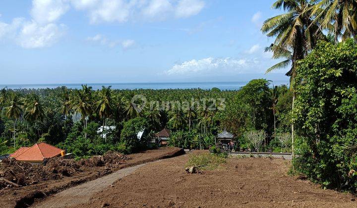 For Sale Ocean View Land In Candidase Close To Central And Good Acces Road  2