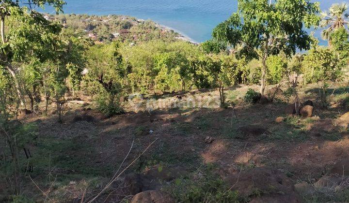 For sale ocean view land in amed good for investment and villa 1