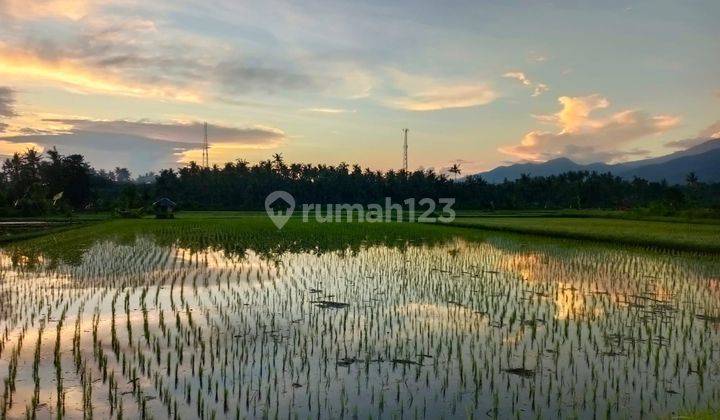 Dijual tanah view' sawah dan gunung cocok untuk villa dan investasi  2