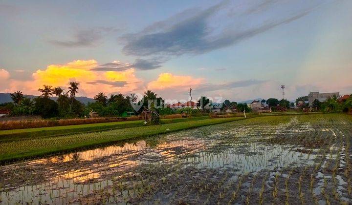 Dijual tanah view' sawah dan gunung cocok untuk villa dan investasi  1