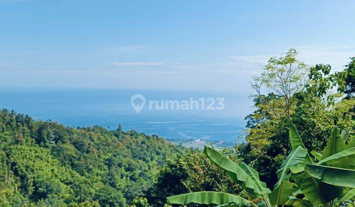 For sale global land with ocean view on hillside of Lovina for investment or private villa  2