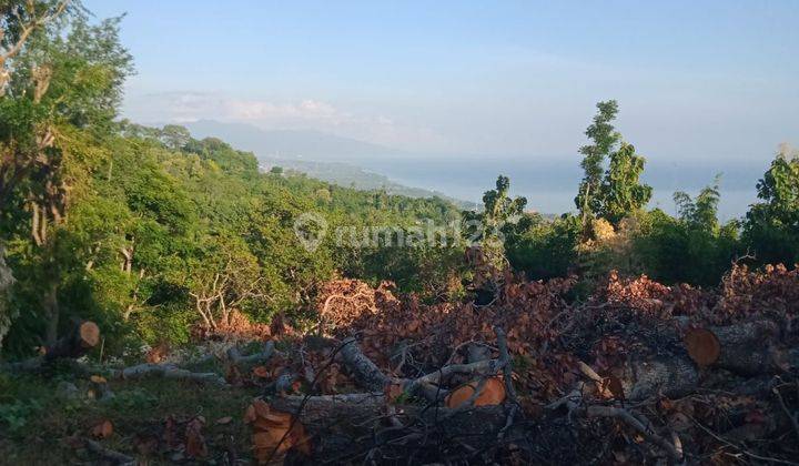 For sale global land with fantastic views  to the ocean and on the aspal road  2