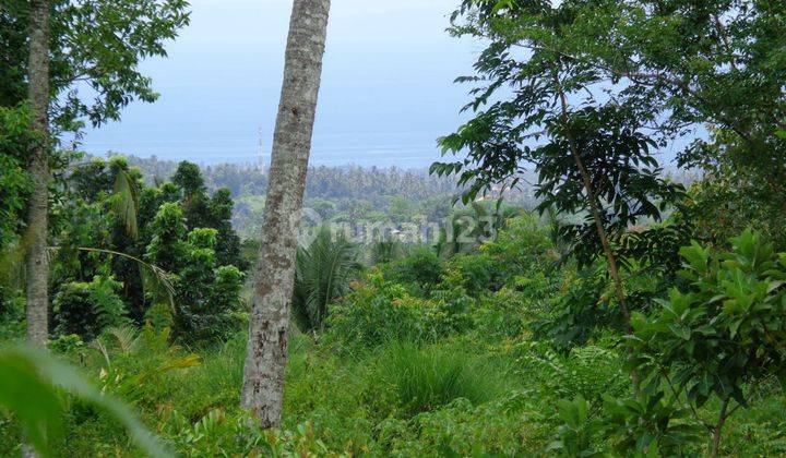 For sale big land good for investment or hotel in Karangasem with ocean view  2