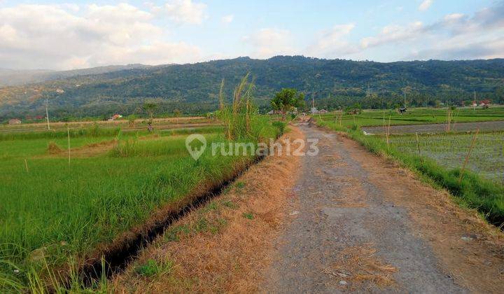 For sale 5 are land in lovina with beautiful view  1