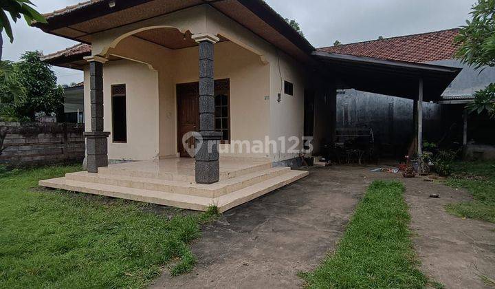 Di jual tanah bonus rumah di central lovina  hanya 700 meter ke pantai and pepito 2